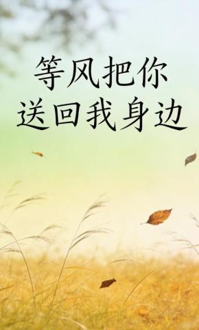 短剧《等风把你送回我身边》海报