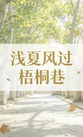 短剧《浅夏风过梧桐巷2》海报