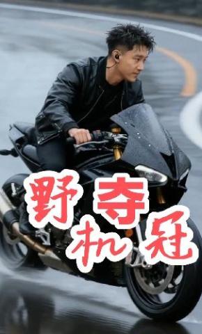 短剧《野机夺冠》海报