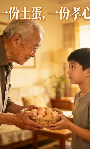短剧《一份土蛋，一份孝心》海报