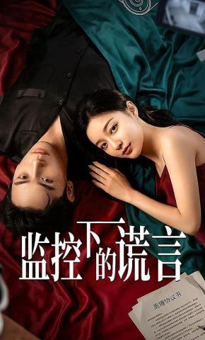 短剧《监控下的谎言》海报