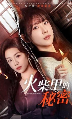 短剧《火柴里的秘密》海报