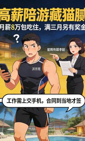 短剧《高薪陪游藏猫腻》海报