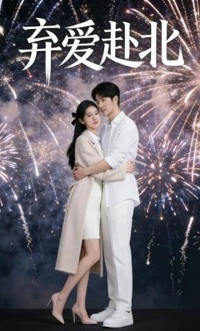 短剧《弃爱赴北》海报
