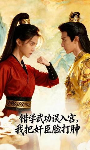 短剧《错学武功误入宫，我把奸臣脸打肿》海报