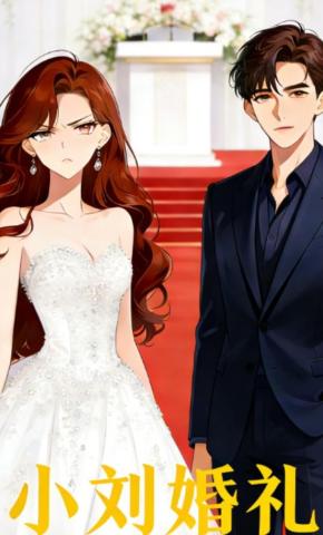 短剧《小刘婚礼》海报