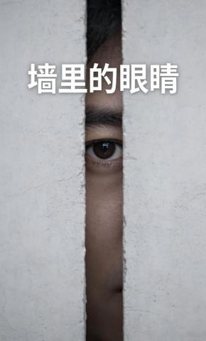 短剧《墙里的眼睛》海报