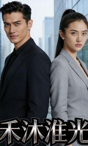 短剧《禾沐淮光》海报