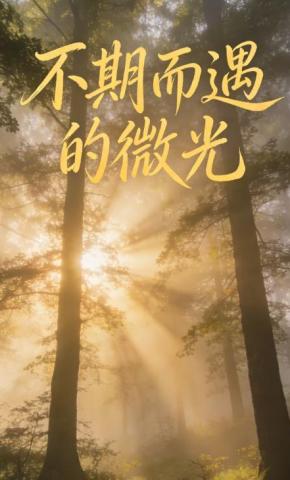 短剧《不期而遇的微光》海报