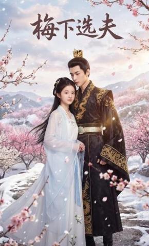 短剧《梅下选夫》海报