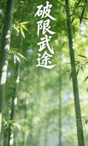 短剧《破限武途》海报