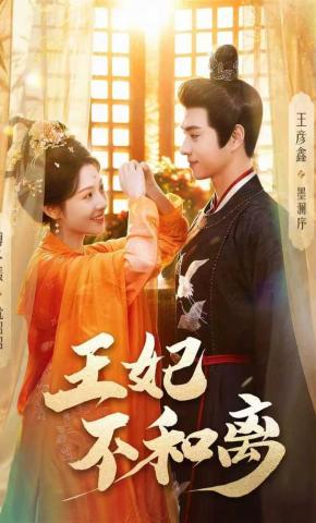 短剧《王妃不和离》海报