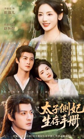 短剧《太子侧妃生存手册》海报