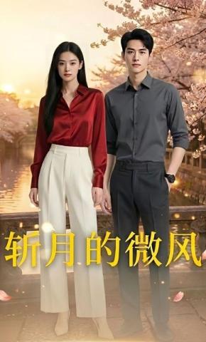 短剧《斩月的微风》海报