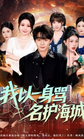 短剧《我以一身骂名护海城》海报