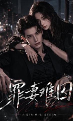 短剧《罪妻难囚》海报