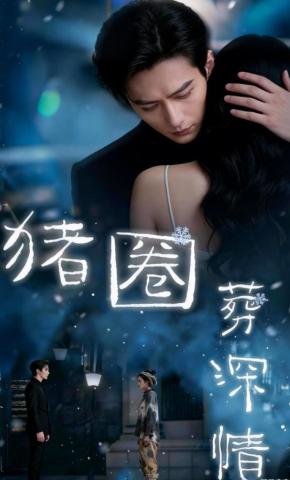 短剧《猪圈葬深情》海报