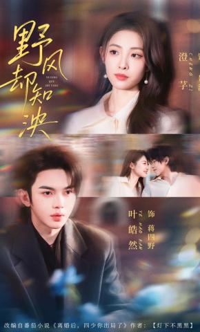 短剧《野风却知泱》海报