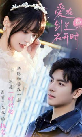 短剧《爱在剑兰花开时》海报