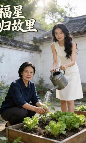 短剧《福星归故里》海报