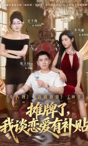 短剧摊牌了，我谈恋爱有补贴海报