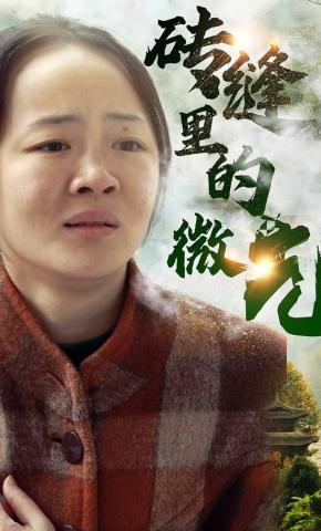 短剧《砖缝里的微光》海报