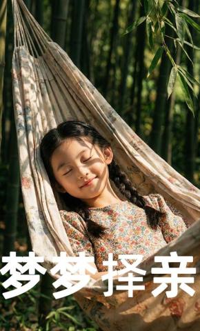 短剧《梦梦择亲》海报