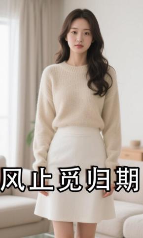 短剧《风止觅归期》海报