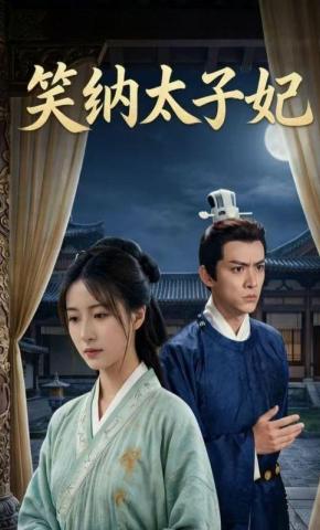 短剧《笑纳太子妃》海报