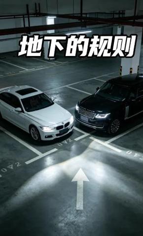 短剧《地下的规则》海报