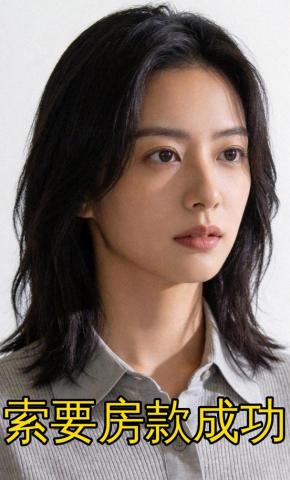 短剧《索要房款成功》海报