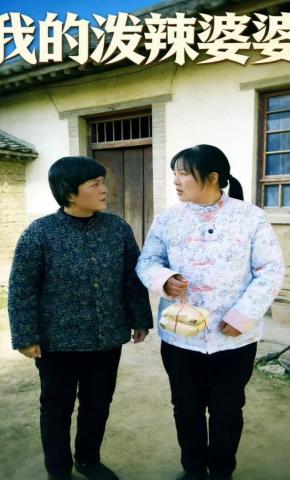 短剧《我的泼辣婆婆》海报