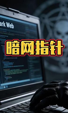 短剧《暗网指针》海报