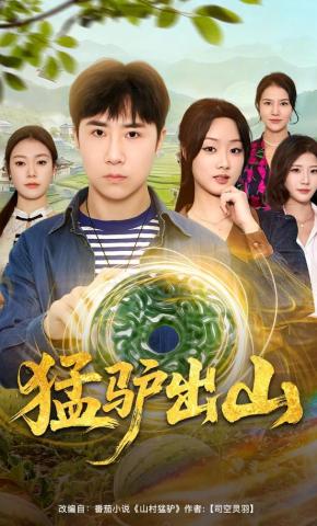 短剧《猛驴出山》海报