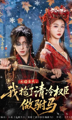 短剧《大婚当天，我抢了清冷权臣做驸马》海报