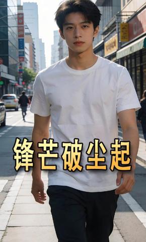 短剧《锋芒破尘起》海报