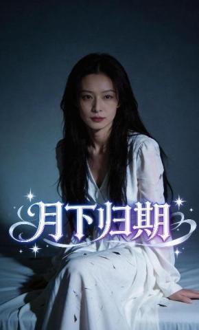 短剧《月下归期》海报