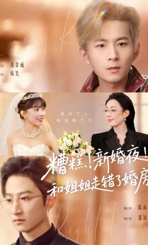 短剧《糟糕！新婚夜！和姐姐走错了婚房》海报