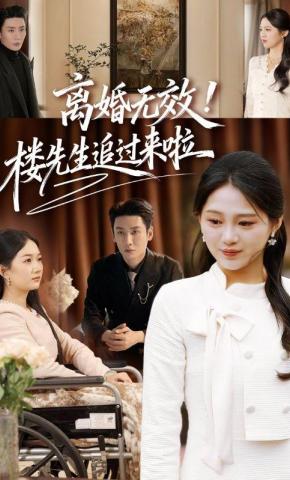 短剧《离婚无效！楼先生追过来啦》海报