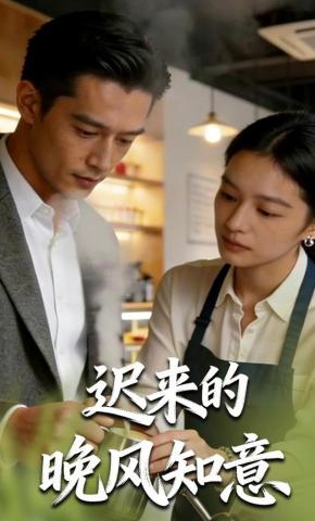 短剧《迟来的晚风知意》海报