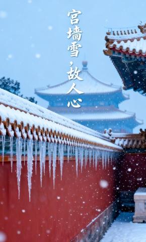 短剧《宫墙雪，故人心》海报