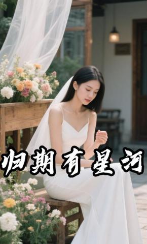 短剧《归期有星河》海报