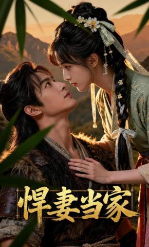 短剧《悍妻当家》海报