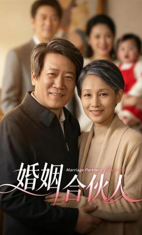 短剧《婚姻合伙人》海报