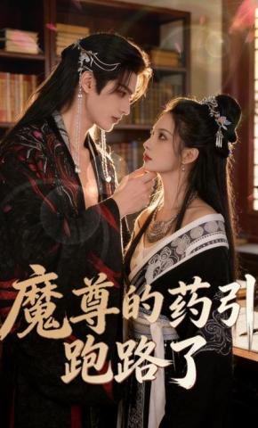 短剧《魔尊的药引跑路了》海报