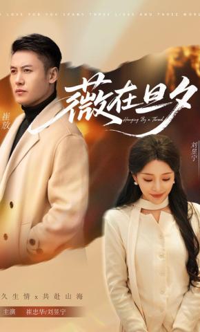 短剧《薇在旦夕》海报