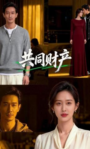 短剧《共同财产》海报