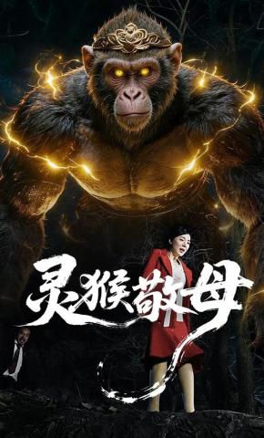 短剧《灵猴敬母》海报