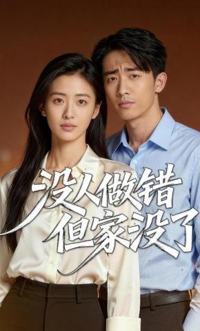 短剧《没人做错，但家没了》海报