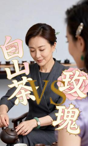 短剧《白山茶vs玫瑰》海报